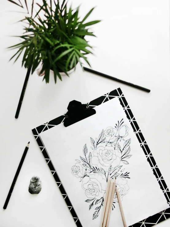 a laptop computer sitting on top of a desk next to a plant, a drawing, trending on unsplash, academic art, black peonies, pencil art on paper, holding a clipboard, black on white background