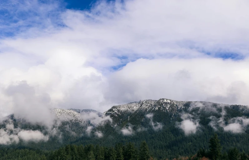 a herd of cattle standing on top of a lush green field, by Neil Blevins, trending on unsplash, snowy mountain, layered stratocumulus clouds, evergreen forest, ominous! landscape of north bend