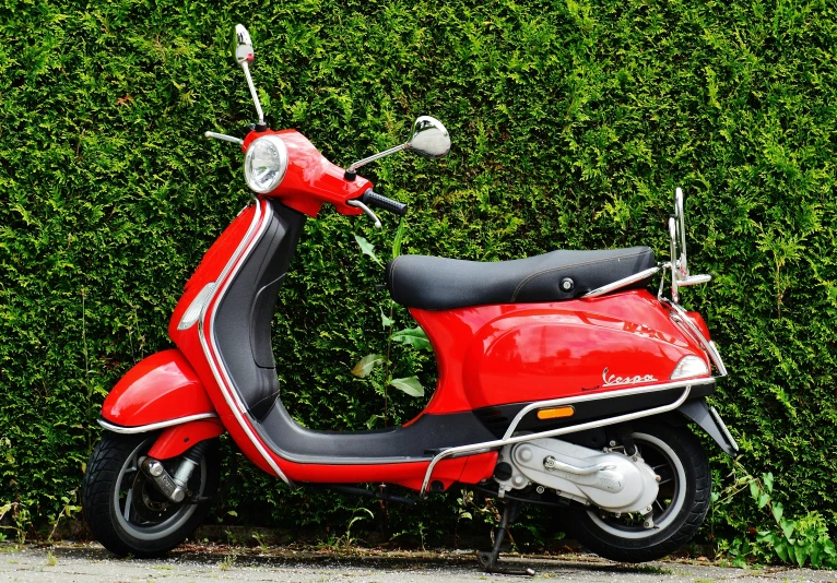 a red scooter parked in front of a hedge, avatar image
