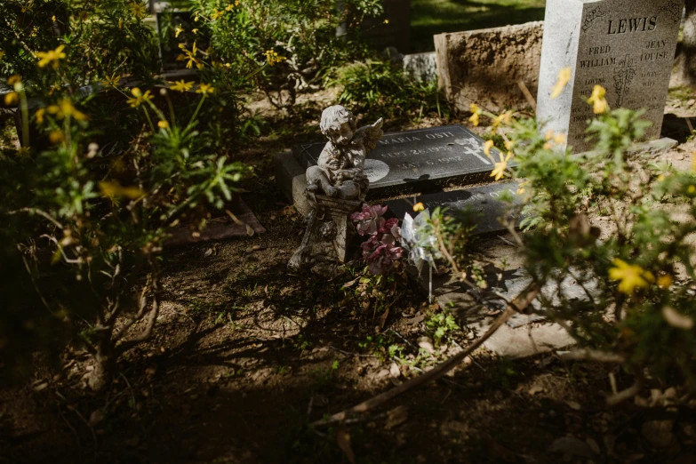 a couple of tombstones sitting next to each other, a statue, by Elsa Bleda, unsplash, dead plants and flowers, high angle view, low quality photo, afternoon sunlight