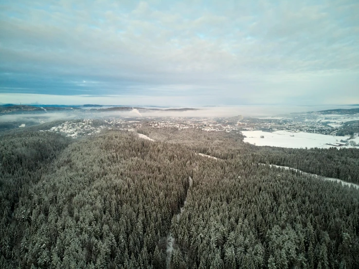 a forest filled with lots of trees covered in snow, by Jaakko Mattila, pexels contest winner, hurufiyya, drone view of a city, 8 k hi - res, oregon, grey