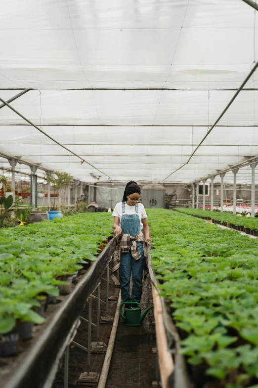 a woman in overalls working in a greenhouse, by Yasushi Sugiyama, trending on unsplash, indonesia, panoramic shot, walking down, inspect in inventory image