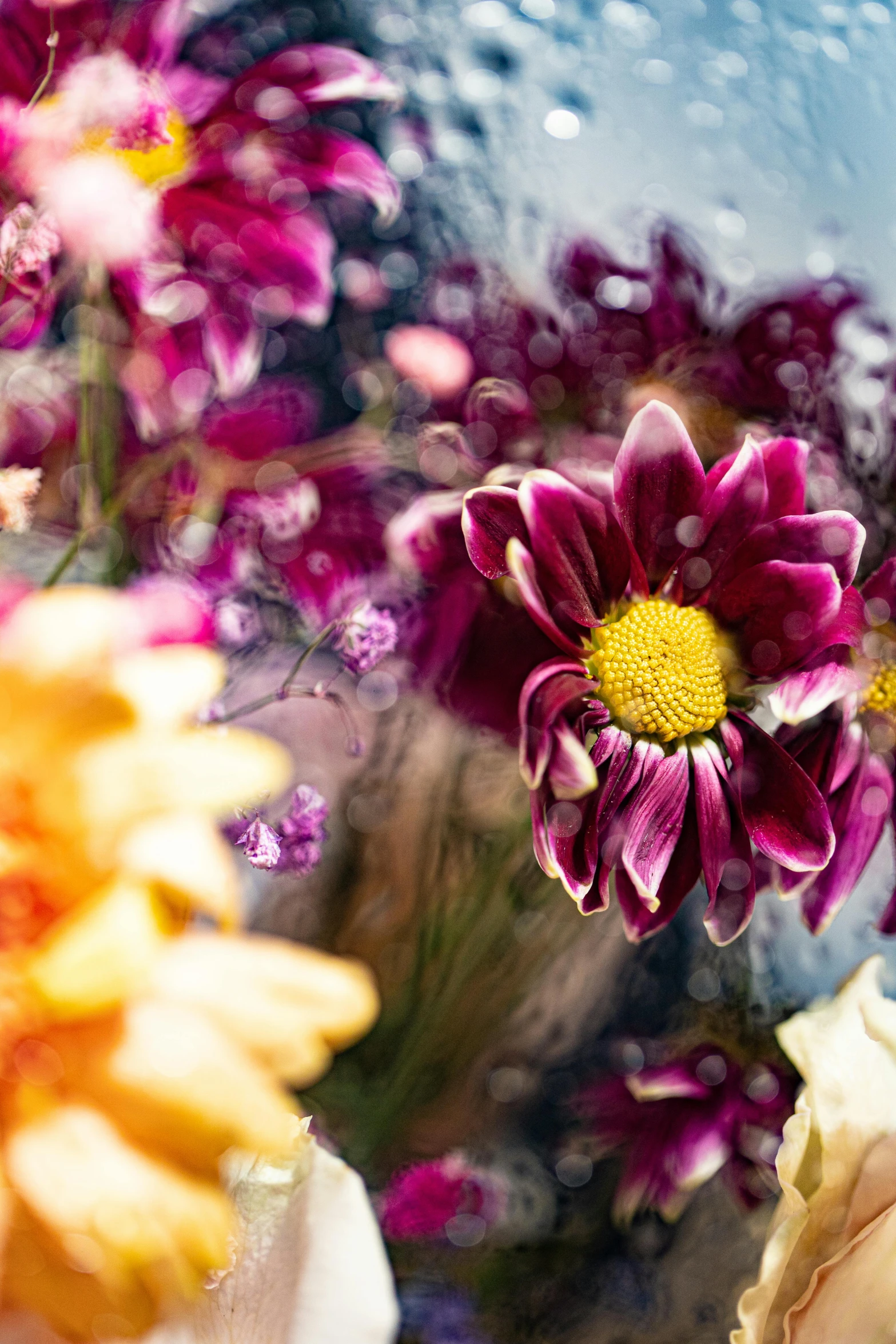 a bunch of flowers that are in a vase, unsplash, vanitas, swirling water cosmos, blurred detail, purple and yellow, autumnal