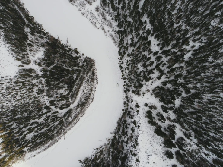 a bird's eye view of a snow covered forest, pexels contest winner, huge chasm, grey, flat curves, hunting