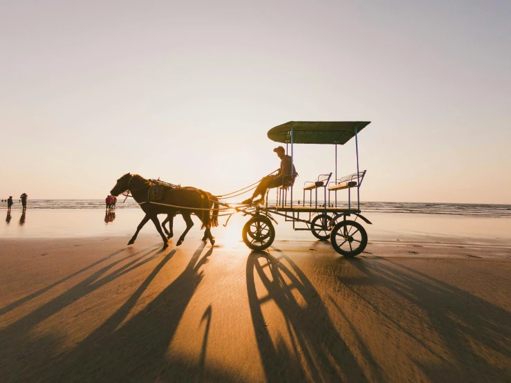 a man riding a horse drawn carriage on a beach, unsplash contest winner, evening sun, myanmar, australian beach, four legs