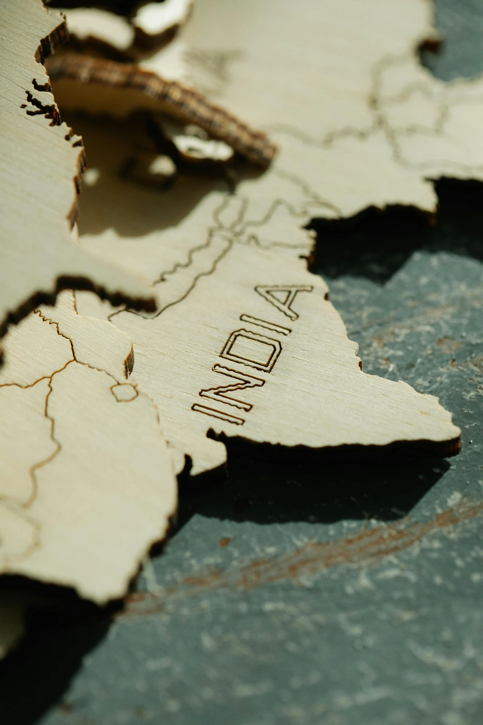 a close up of a map with a lizard on it, a jigsaw puzzle, trending on unsplash, provocative indian, carved in wood, photographed for reuters, back towards camera