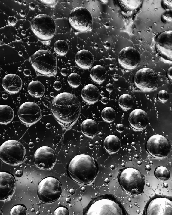 a close up of a spider web covered in water droplets, by Jan Sawka, many floating spheres, only black and white, 64x64, full of glass. cgsociety