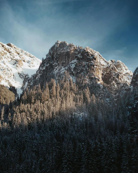 a mountain covered in snow next to a forest, by Sebastian Spreng, unsplash contest winner, cliffs, high detailed 8 k, fir trees, cinematic morning light