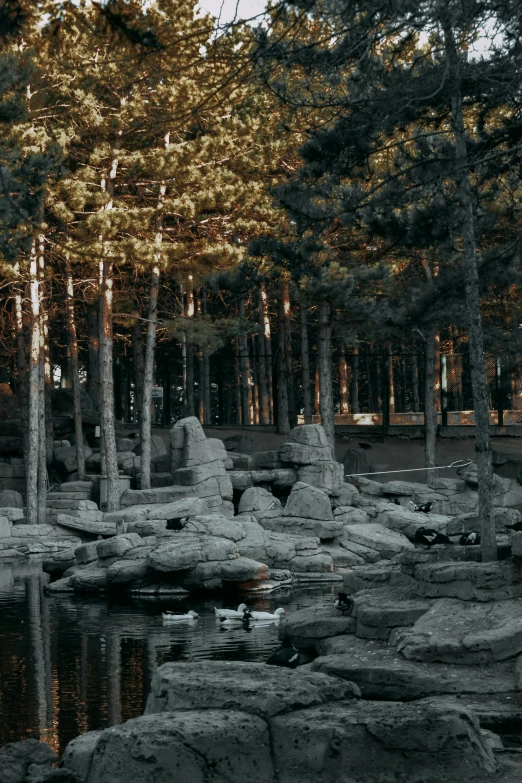 a body of water surrounded by rocks and trees, ducks, cinematic moody, 2019 trending photo, in avila pinewood