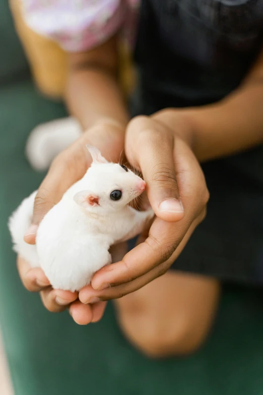 a person holding a small white mouse in their hands, indonesia, furraffinity, multiple stories, children's