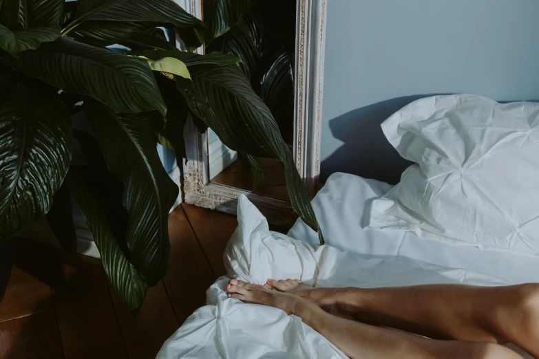 a woman laying in bed next to a potted plant, inspired by Elsa Bleda, trending on unsplash, aestheticism, swollen veins, curled up under the covers, blue mood, dressed in white robes