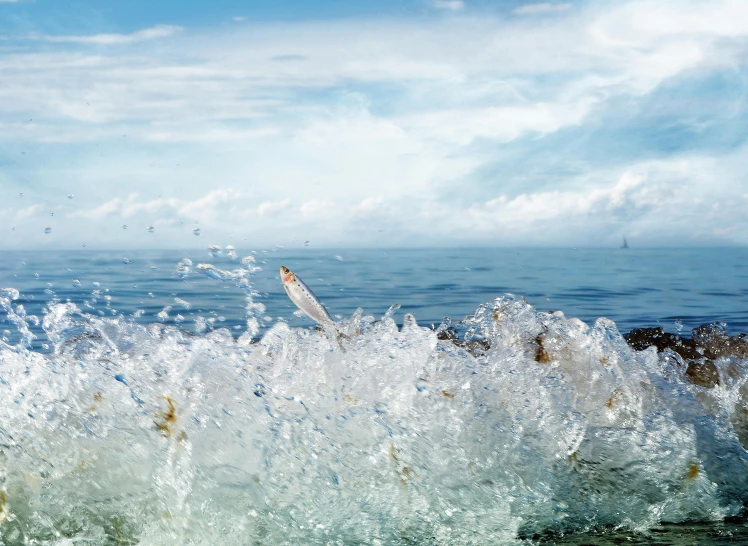 a man riding a wave on top of a surfboard, an album cover, unsplash, small fish swimming around, frozen sea, landscape photo, water particle in front