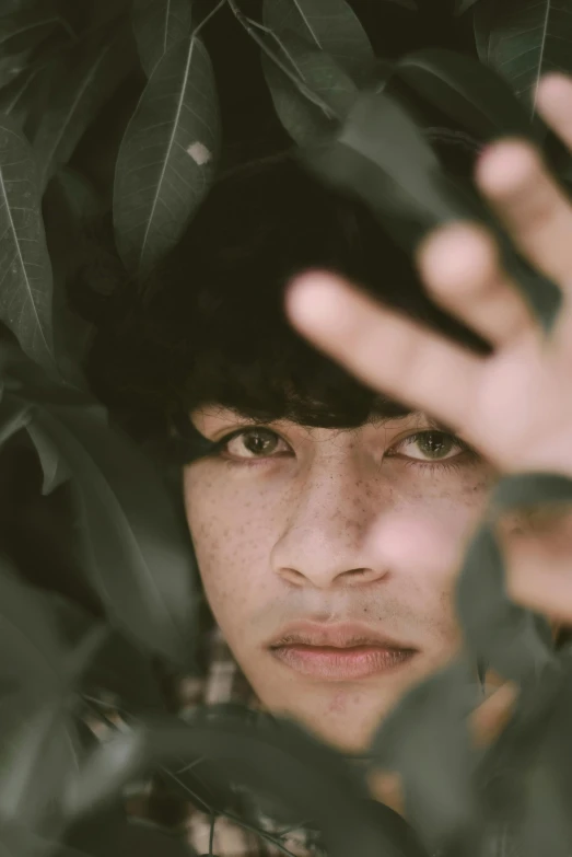 a close up of a person surrounded by leaves, pexels contest winner, male ulzzang, olive skin color, boyish face, spots