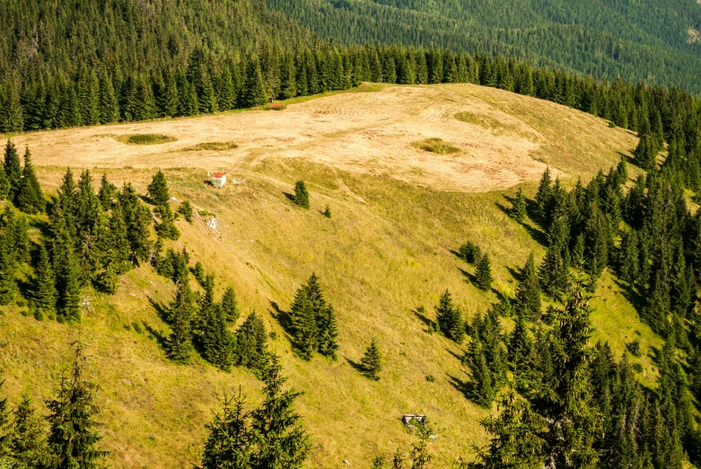 a group of people standing on top of a lush green hillside, by Matthias Weischer, pexels contest winner, black fir, patches of red grass, riding, viewed from earth