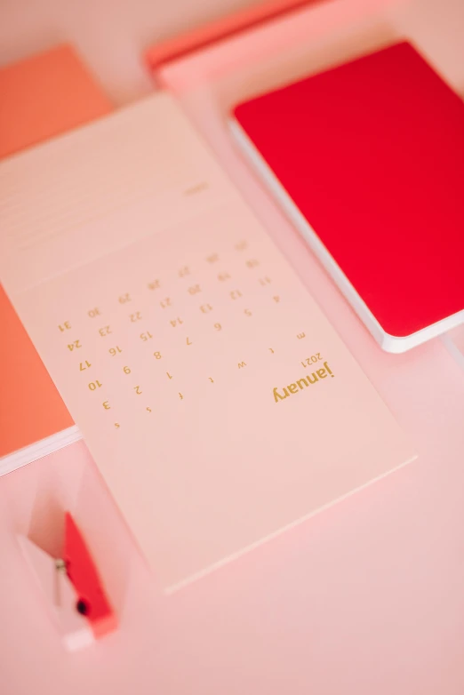 a couple of notebooks sitting on top of a table, by Julia Pishtar, trending on unsplash, pink and red color scheme, thin gold details, female calendar, opening shot