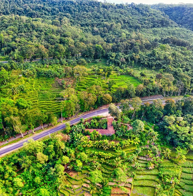 a road in the middle of a lush green valley, hurufiyya, with kerala motifs, drone photograpghy, slide show, thumbnail