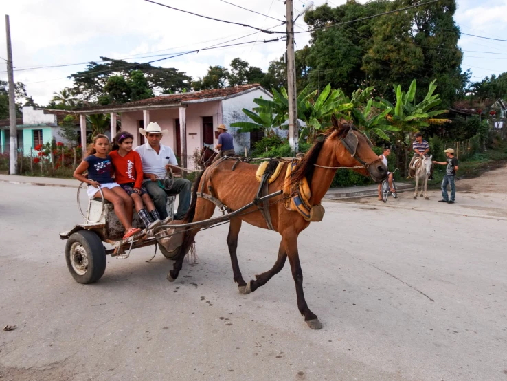 a group of people riding on the back of a horse drawn carriage, cuban setting, 🦩🪐🐞👩🏻🦳, secretly on a village, profile image