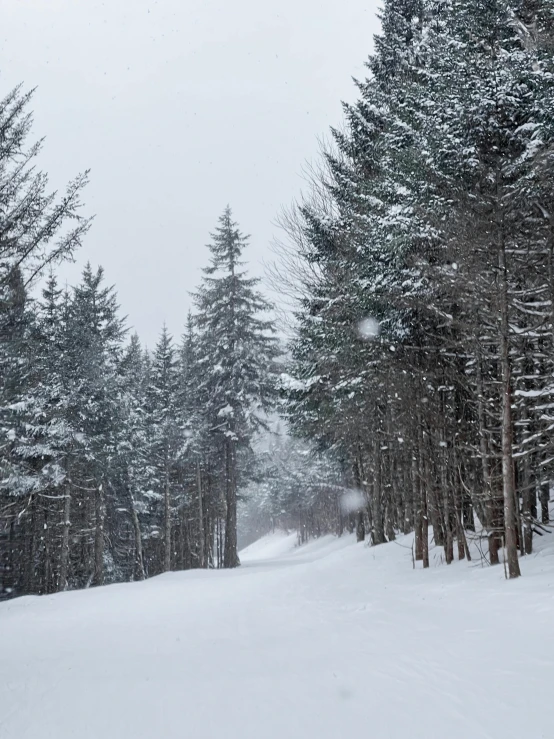 a man riding skis down a snow covered slope, a picture, inspired by Asher Brown Durand, pexels contest winner, dark pine trees, road between tall trees, today\'s featured photograph 4k, new hampshire mountain