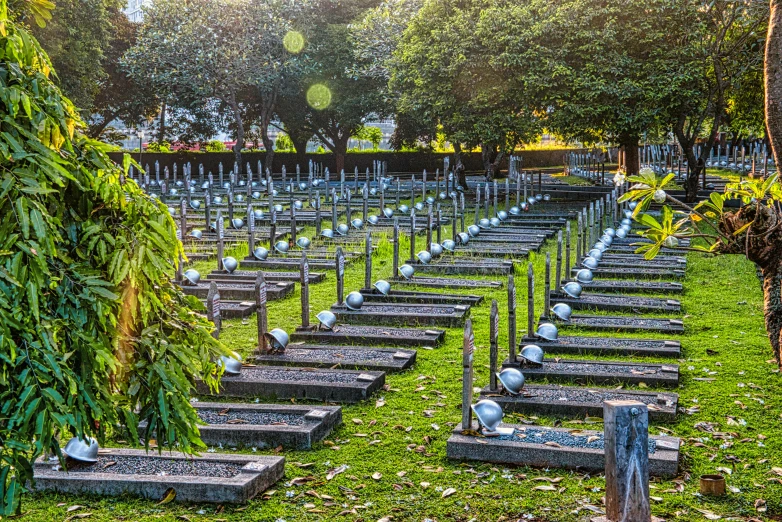 a cemetery filled with lots of tombstones and trees, a photo, by Alexander Fedosav, happening, rows of canteen in background, te pae, morning lighting, instagram photo