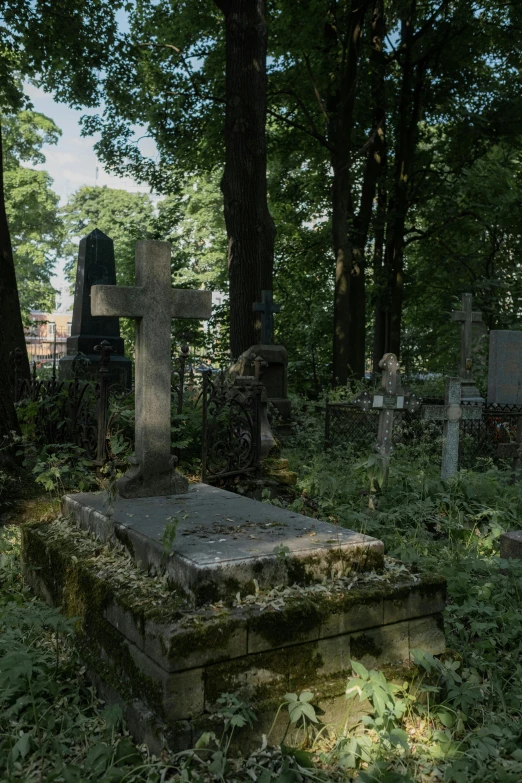 a cemetery filled with lots of tombstones and trees, an album cover, by Attila Meszlenyi, unsplash, orthodoxy, cast, corpses, view from side