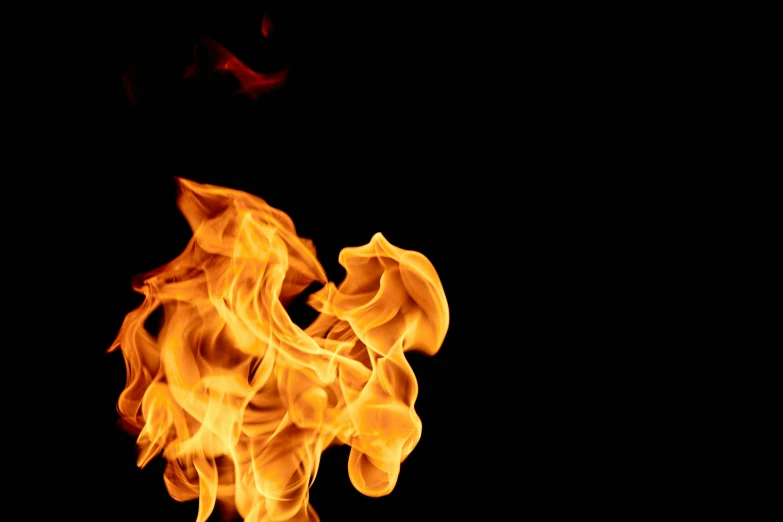 a close up of a fire on a black background, an album cover, pexels, plain background, profile image, flamboyant, high temperature
