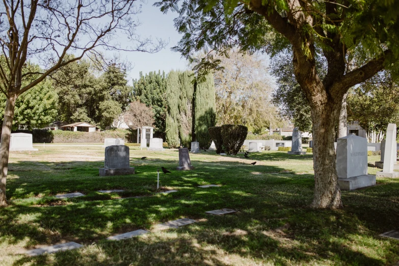 a cemetery filled with lots of tombstones and trees, an album cover, unsplash, 1600 south azusa avenue, ignant, lawn, profile image