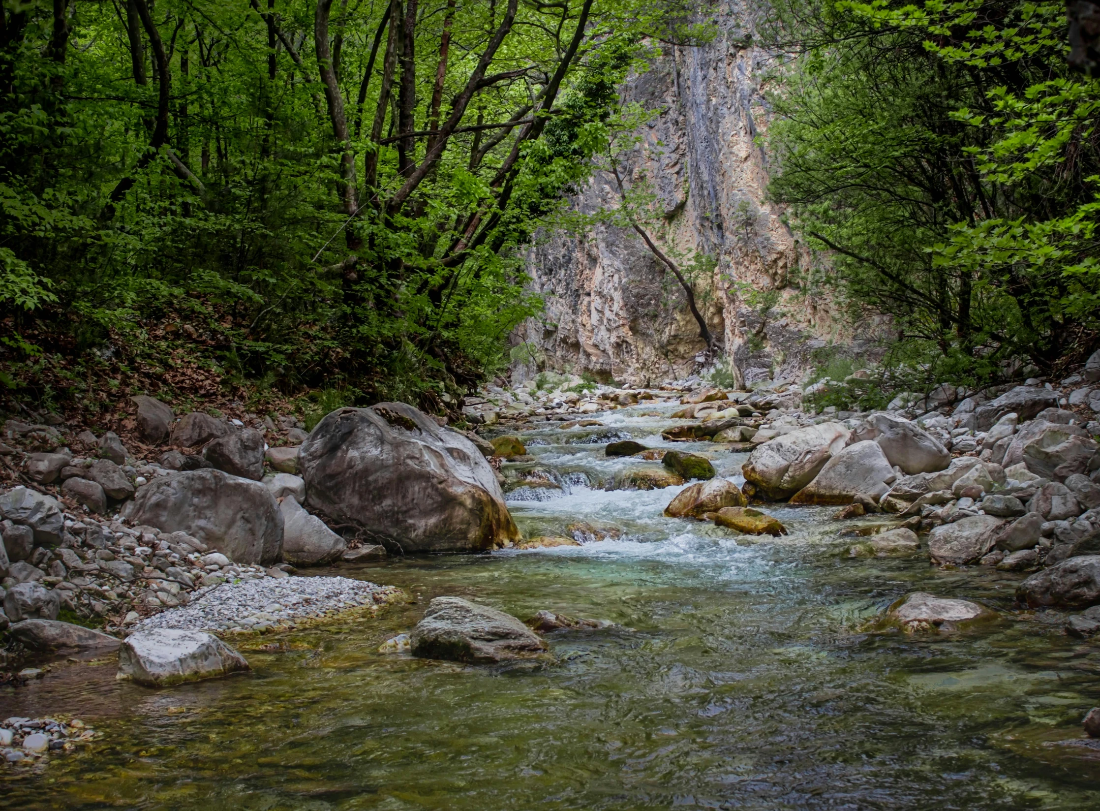 a stream running through a lush green forest, a picture, by Koloman Sokol, pexels contest winner, renaissance, greece, rocks), mount olympus, thumbnail