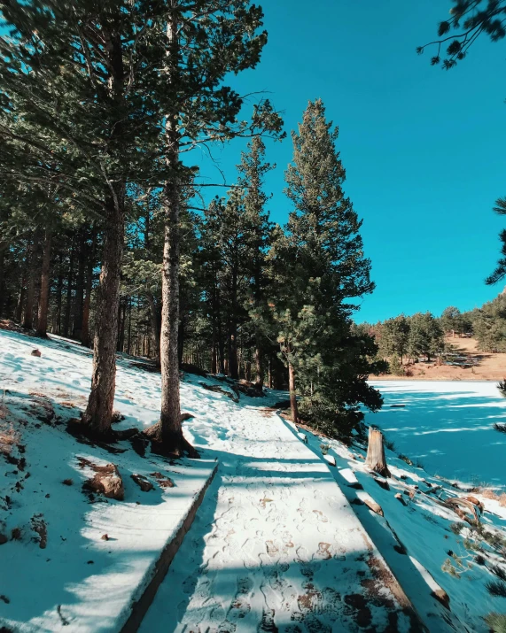 a man riding a snowboard down a snow covered slope, a picture, pexels contest winner, land art, road into the forest with a lake, arrendajo in avila pinewood, slide show, 🌲🌌