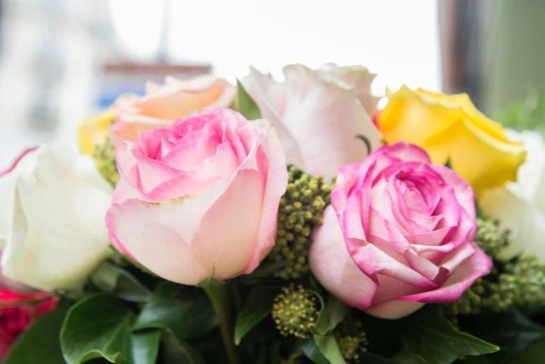 a close up of a bunch of flowers in a vase, pastel roses, pink and yellow, city views, rumble roses