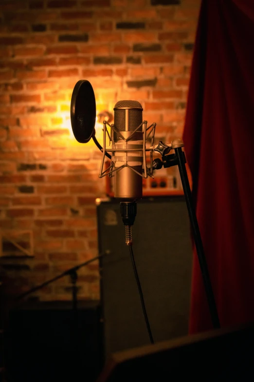 a microphone in front of a brick wall, owl studio, performing, gold, enhanced