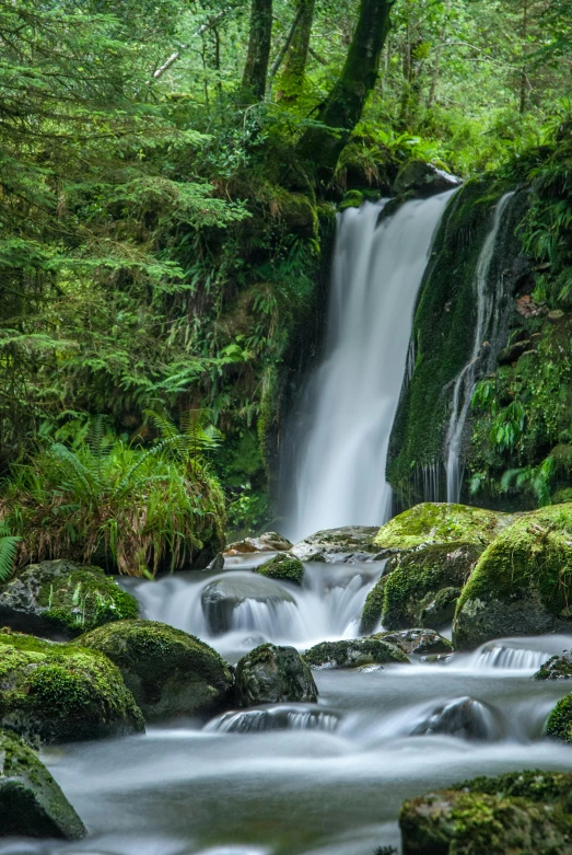 a waterfall flowing through a lush green forest, by Peter Churcher, extremely clear and coherent, azores