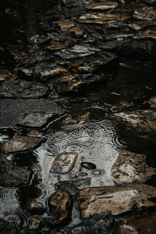 a puddle of water sitting on top of a rock, tar roads, unsplash photography, ilustration, watery eyes