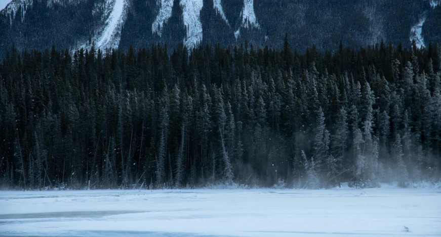 a group of people walking across a snow covered field, inspired by François Quesnel, pexels contest winner, hurufiyya, lake in the forest, dark pine trees, hovering above a lake in yukon, low detail