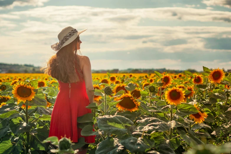 a woman standing in a field of sunflowers, a picture, by Julia Pishtar, fine art, red dress and hat, wearing orange sundress, facing away, colour photograph