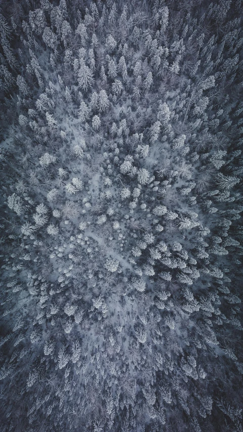 an aerial view of a snow covered forest, an album cover, by Andrew Geddes, unsplash contest winner, grey, no people 4k, looking up, elliot alderson