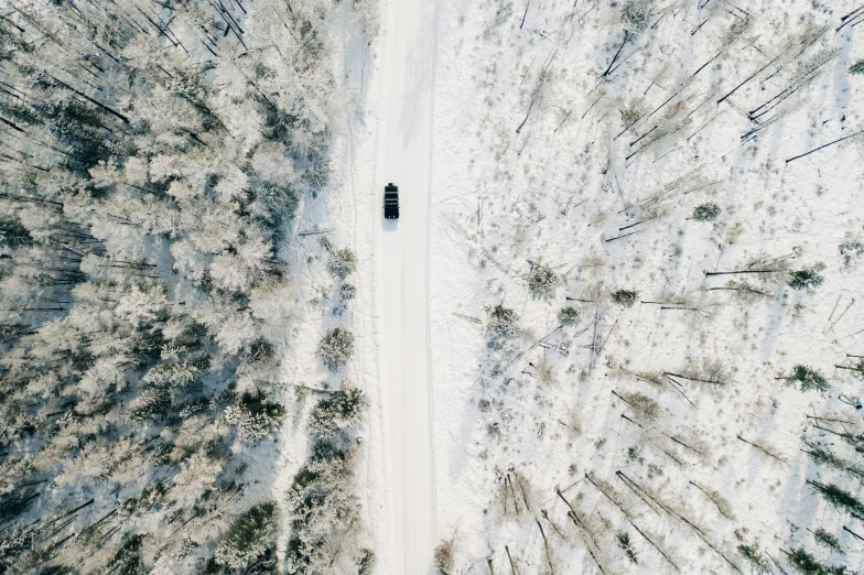 a car driving through a snow covered forest, by Emma Andijewska, unsplash contest winner, auto-destructive art, top view of convertible, conde nast traveler photo, “ iron bark, full view of a car