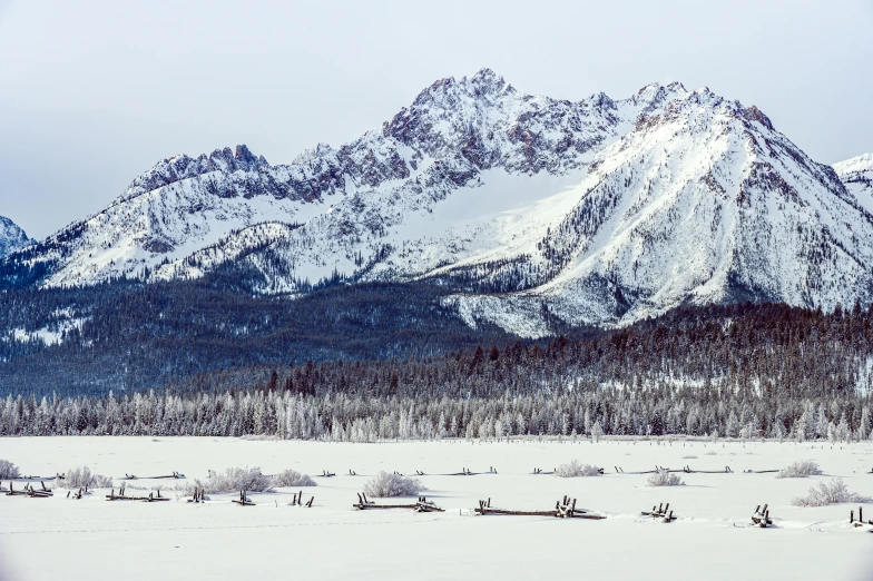 a man riding a horse across a snow covered field, unsplash contest winner, land art, craggy mountains, spruce trees, view from the lake, 2000s photo