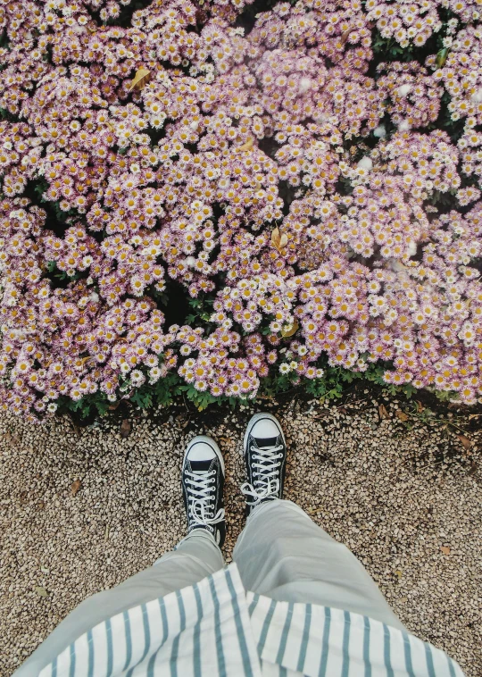 a person standing in front of a field of flowers, trending on unsplash, visual art, focus on sneakers only, high angle camera, seasons!! : 🌸 ☀ 🍂 ❄, standing in a botanical garden