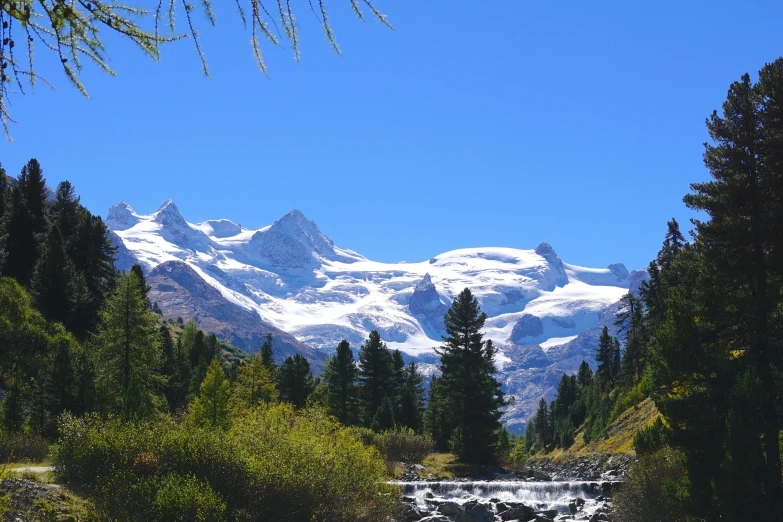 a river running through a forest next to a snow covered mountain, inspired by Werner Andermatt, pexels contest winner, hurufiyya, clear blue skies, overlooking a valley with trees, glacier, on a canva