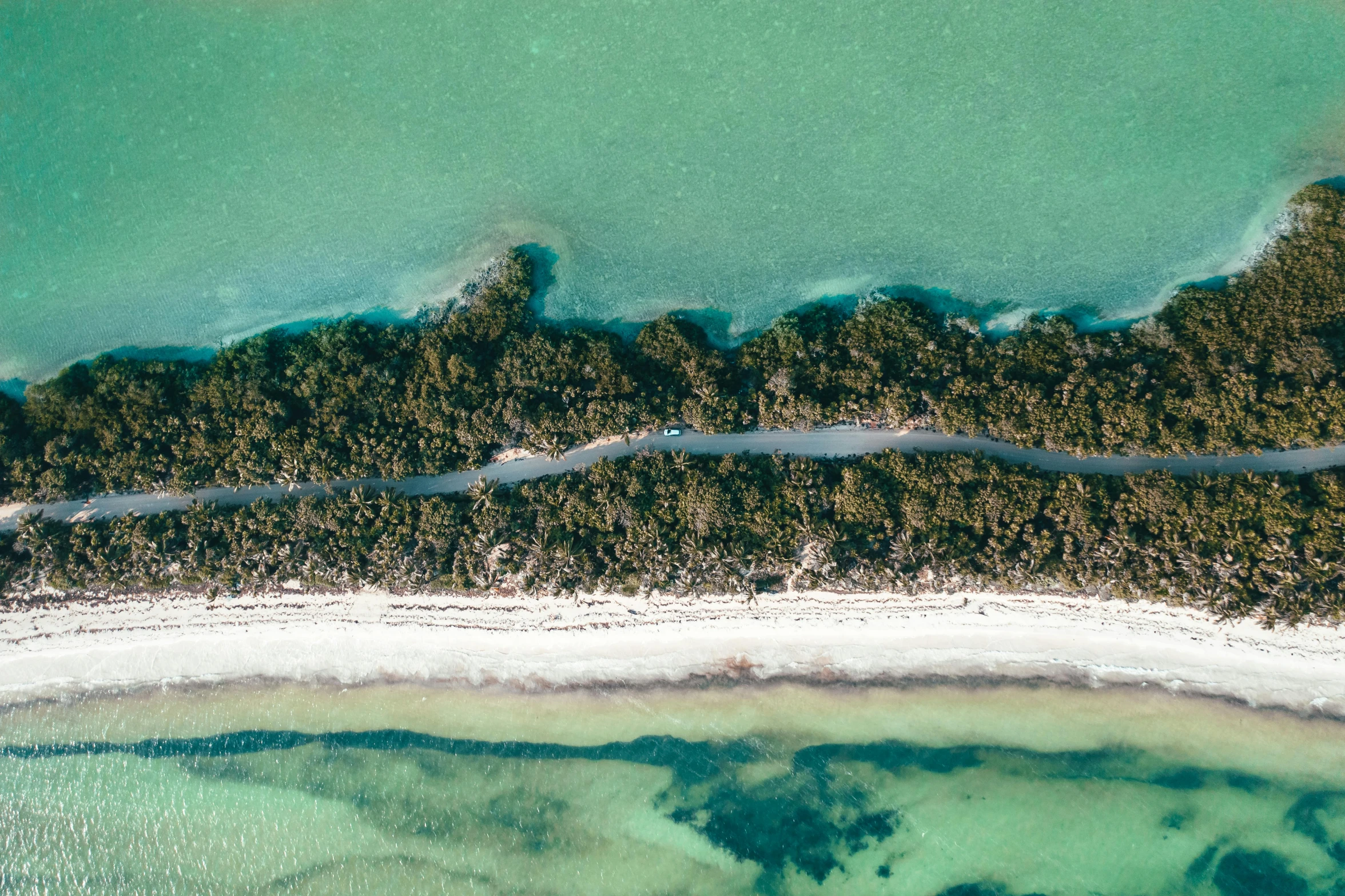 an aerial view of an island in the middle of the ocean, by Liza Donnelly, pexels contest winner, hurufiyya, mangrove trees, australian beach, thumbnail, high light on the left