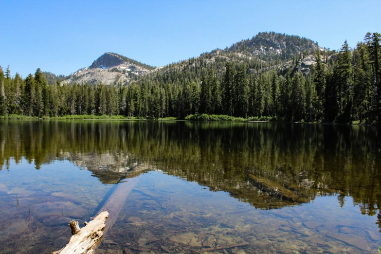 a large body of water surrounded by trees, by Whitney Sherman, unsplash, hurufiyya, mountain lake in sierra nevada, avatar image, fan favorite, sparsely populated