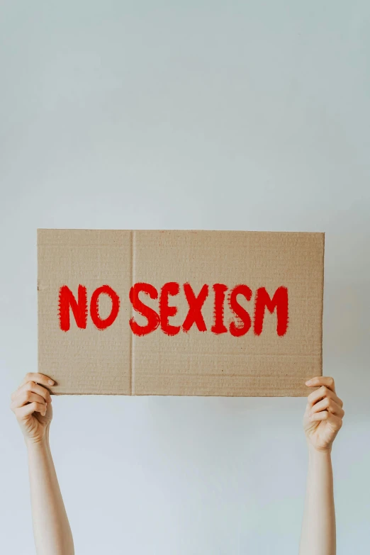 a person holding a sign that says no sexism, trending on pexels, excessivism, cardboard, adult swim, profile image, flatlay