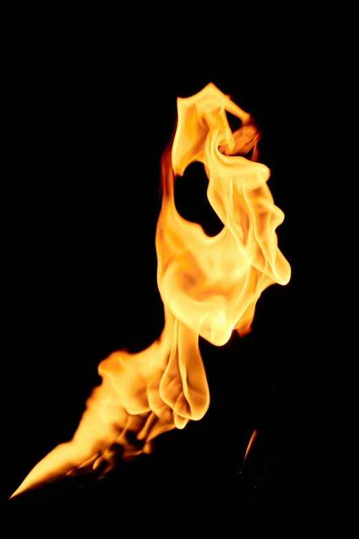 a close up of a fire on a black background, by Jan Rustem, profile image, digital photo, instagram photo, taken in the late 2010s