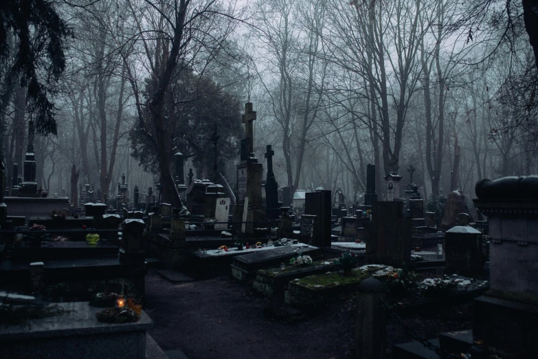 a cemetery filled with lots of tombstones and trees, an album cover, by Attila Meszlenyi, pexels contest winner, gloomy foggy atmosphere, kramskoi, parce sepulto, a dark