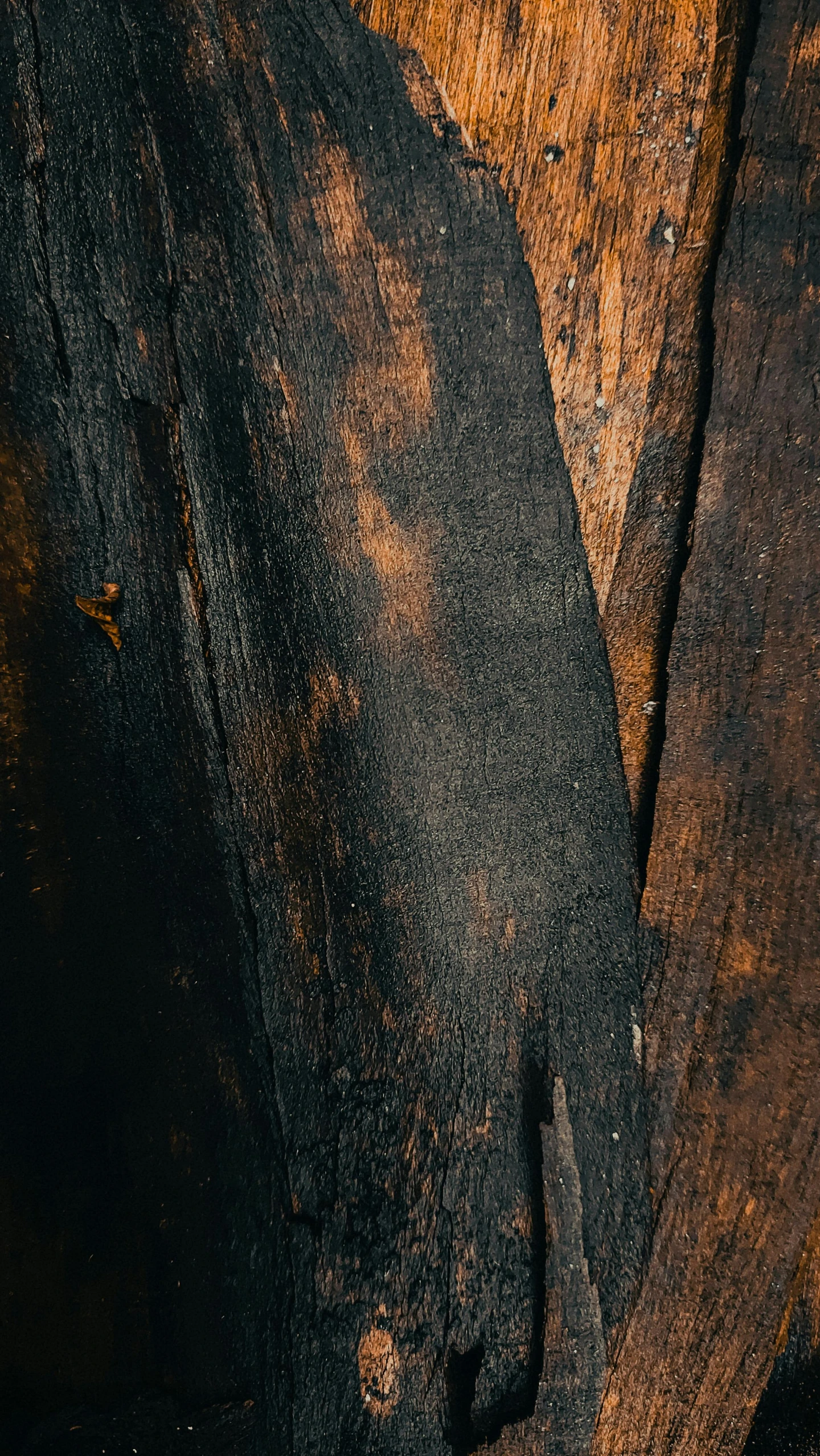 a close up of a person's hand on a piece of wood, an album cover, by Attila Meszlenyi, trending on pexels, smouldering charred timber, black and orange, detail texture, wooden bark armor