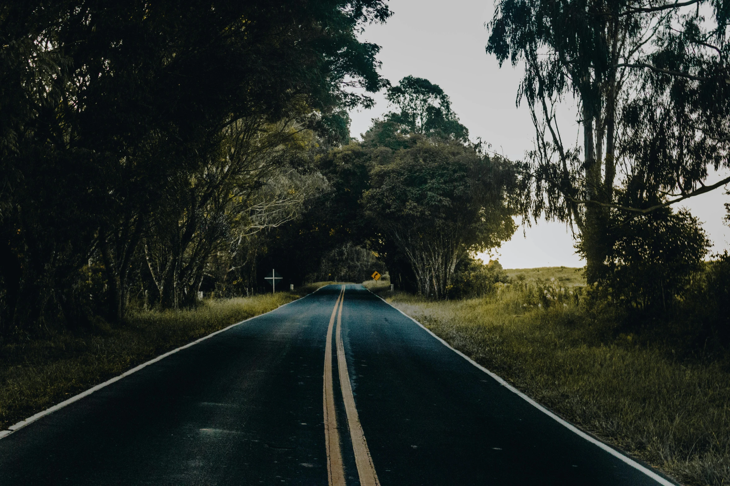 a car driving down a road surrounded by trees, by Matt Stewart, unsplash contest winner, big island, eucalyptus, tar roads, background image