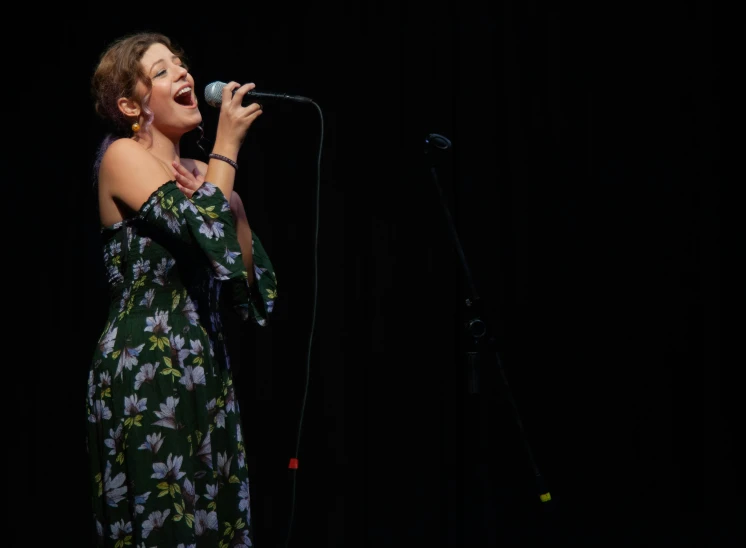 a woman in a floral dress singing into a microphone, eytan zana, square, sydney hanson, high quality photo