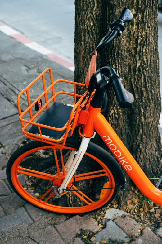 an orange bicycle parked next to a tree
