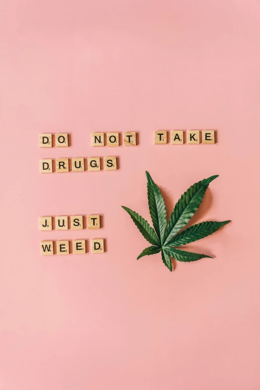 a marijuana leaf with the words do not take drugs just weed, trending on pexels, aestheticism, pink, pills, kai carpenter, sustainable