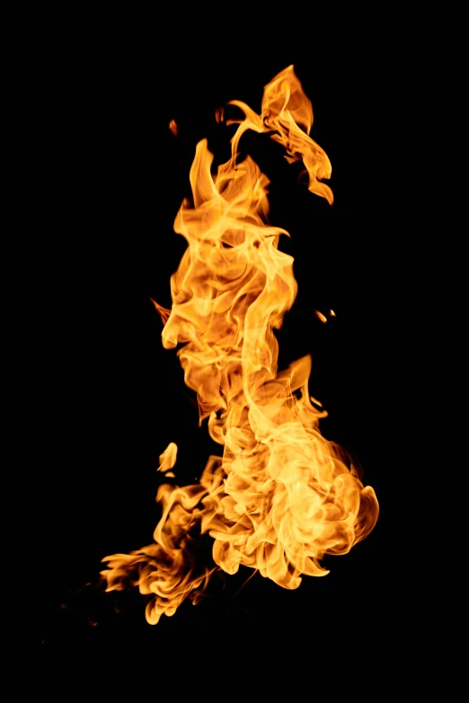 a close up of a fire on a black background, by Jan Rustem, avatar image